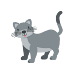 Grå katt 1